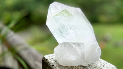 Lemurian Seed Cathederal with Bridge X Grade