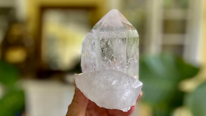 Lemurian Seed Cathederal with Bridge X Grade