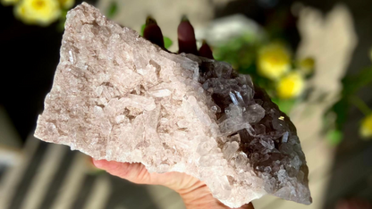 Sacred Rose Pink Lithium Lemurian Colombian Quartz Cluster AAA+++