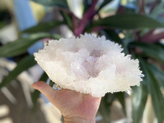 Rare Amethyst Flower Agate Specimen: Collectors Crystal 1257 grams