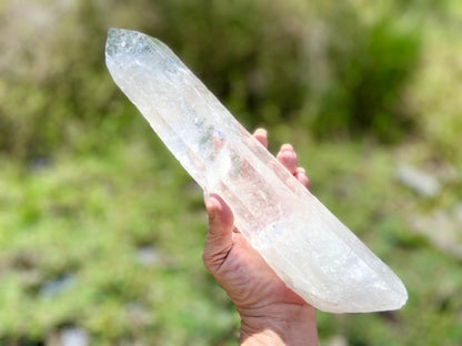 Lemurian Seed Quartz Crystal | Ancient Wisdom | Record Keepers |Phantasmagoric Rainbow | 1.313 kg