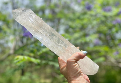 Lemurian Seed Quartz Crystal | Ancient Wisdom | Record Keepers |Phantasmagoric Rainbow | 1.313 kg