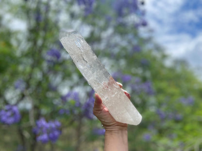 Lemurian Seed Quartz Crystal | Ancient Wisdom | Record Keepers |Phantasmagoric Rainbow | 1.313 kg
