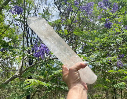 Lemurian Seed Quartz Crystal | Ancient Wisdom | Record Keepers |Phantasmagoric Rainbow | 1.313 kg