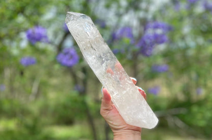 Lemurian Seed Quartz Crystal | Ancient Wisdom | Record Keepers |Phantasmagoric Rainbow | 1.313 kg