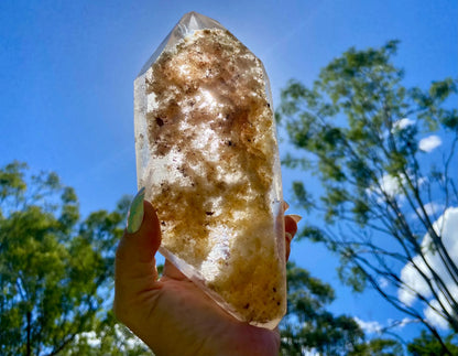 Lodolite Inclusion Quartz Double Terminated