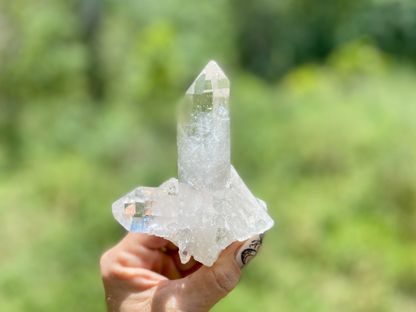 Lemurian Seed Quartz Cluster
