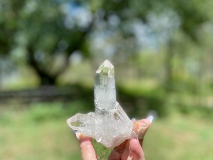 Lemurian Seed Quartz Cluster
