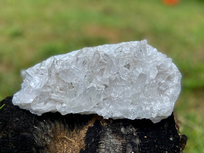 Lemurian Seed Quartz Cluster AAA+++