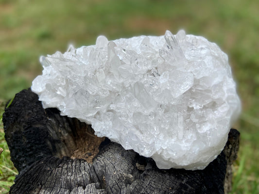 Lemurian Seed Quartz Cluster AAA+++