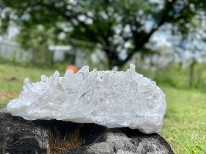Lemurian Seed Quartz Cluster AAA+++