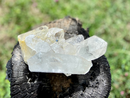 Rare AAA Grade Lemurian Clear Quartz Cluster With Golden Healer |Brazil |Master Healer,Amplifier, Programmer | 787 Grams