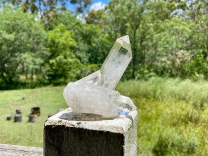 Lemurian Seed Quartz Cluster