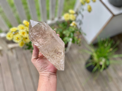 Lodolite Inclusion Quartz Double Terminated