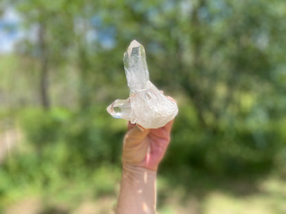 Lemurian Seed Quartz Cluster