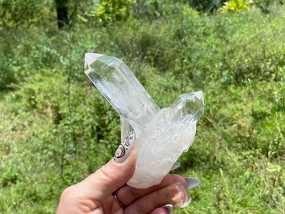 Lemurian Seed Quartz Cluster
