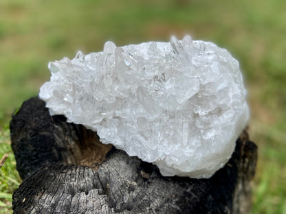 Lemurian Seed Quartz Cluster AAA+++