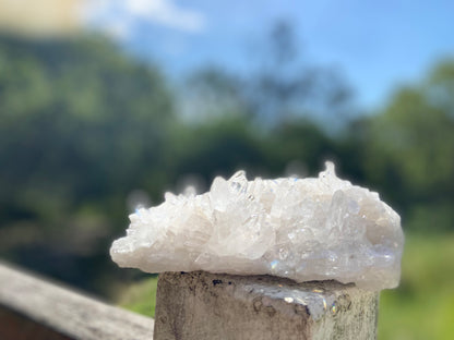 Lemurian Seed Quartz Cluster AAA+++