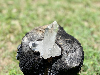 Lemurian Seed Quartz Cluster