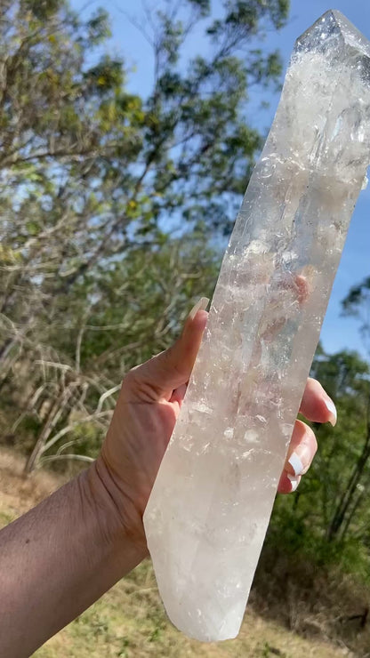 Lemurian Seed Quartz Crystal | Ancient Wisdom | Record Keepers |Phantasmagoric Rainbow | 1.313 kg
