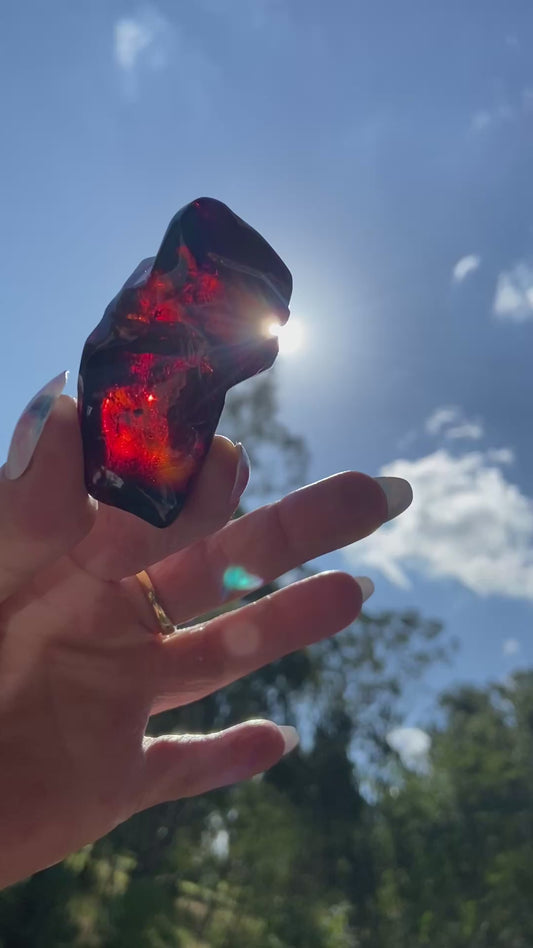 Rare Red Fire Baltic Amber: Ancient Inclusions, Collector's Gem