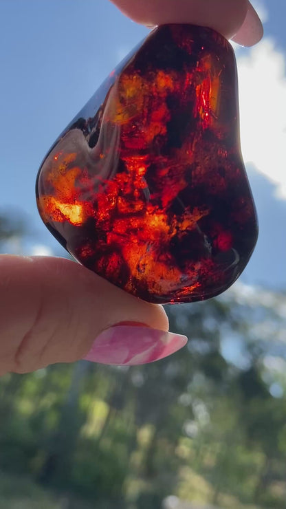 Rare Red Fire Baltic Amber with Ancient Organic Inclusions: Collector's Gem