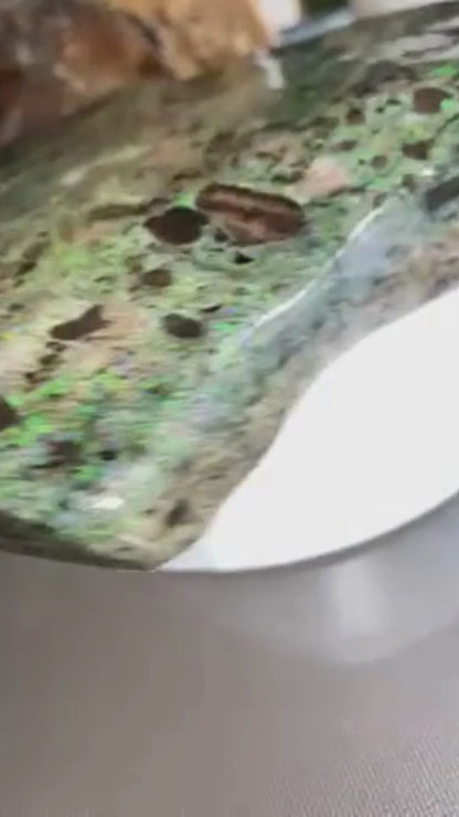 Stunning Gigantic Australian Andamooka Treated Opal Slab