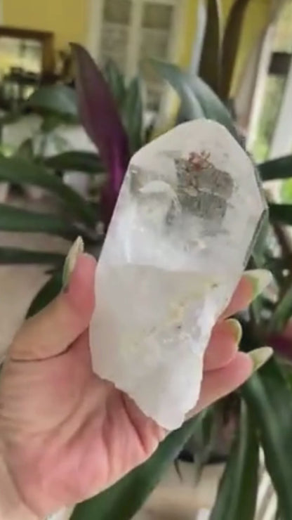 Lemurian Seed Ascending Cathedral Channeler A+ Grade