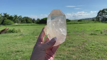 Natural Citrine Lemurian Cathedral Point with Inclusions | Timekeeper | 315g | Brazil