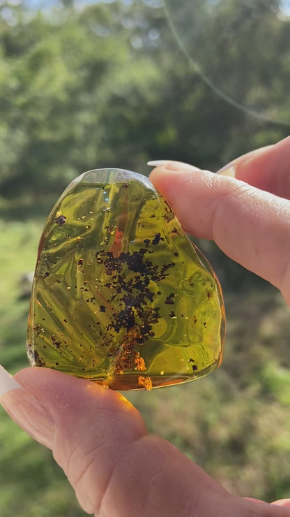 Polished Honey Amber (full of Bugs)