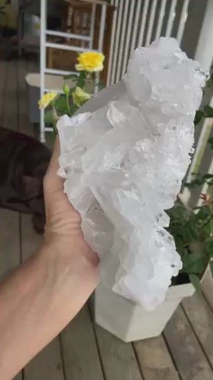 Lemurian Seed Quartz Cluster AAA+++ "Dove"