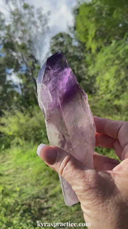Dragon Tooth Amethyst and Ametrine Quartz Phantom Natural Point