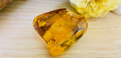 Polished Honey Amber (full of bugs) UV Reactive
