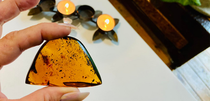 Polished Honey Amber (full of bugs) UV Reactive