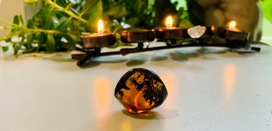 Polished Honey Amber (full of bugs)