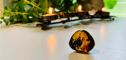 Polished Honey Amber (full of bugs)