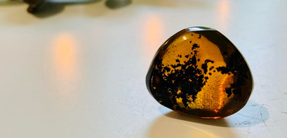 Polished Honey Amber (full of bugs)
