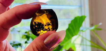 Polished Honey Amber (full of bugs)